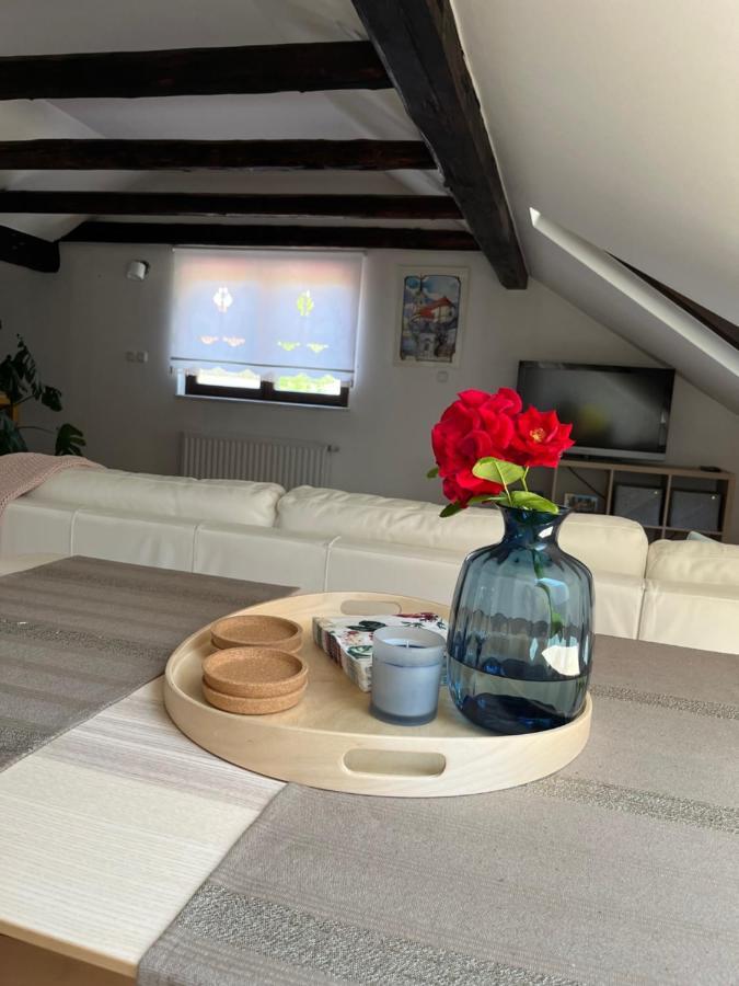 Riverside Villa Avo - Apartment Sara Spodnja Idrija Exteriör bild
