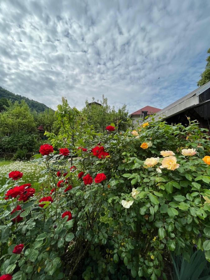 Riverside Villa Avo - Apartment Sara Spodnja Idrija Exteriör bild
