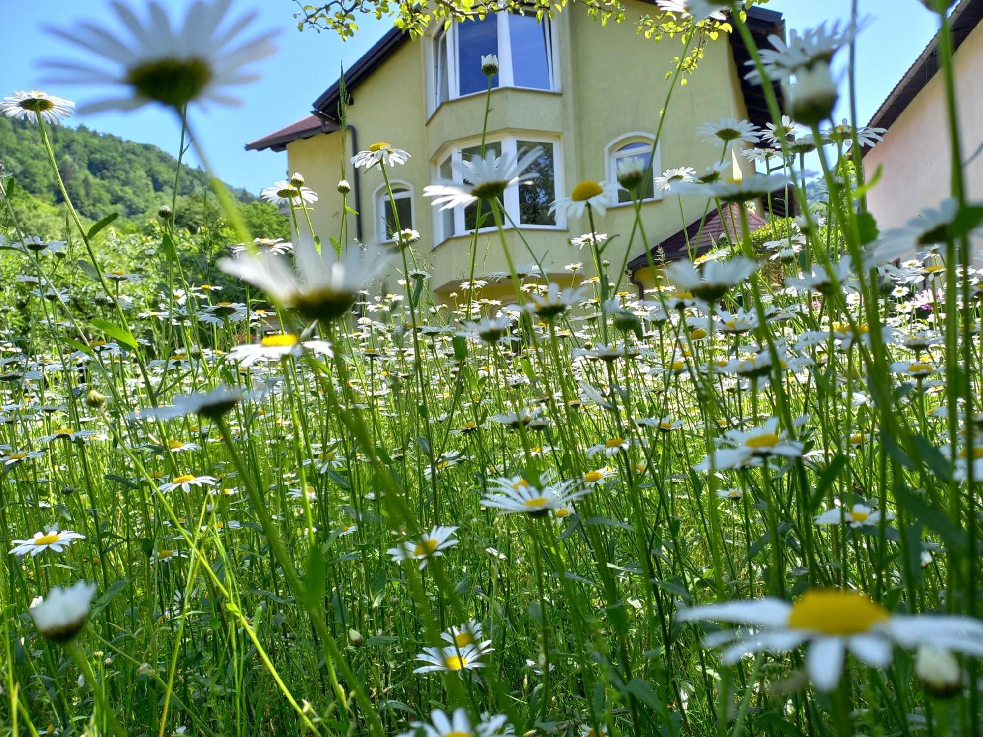 Riverside Villa Avo - Apartment Sara Spodnja Idrija Rum bild